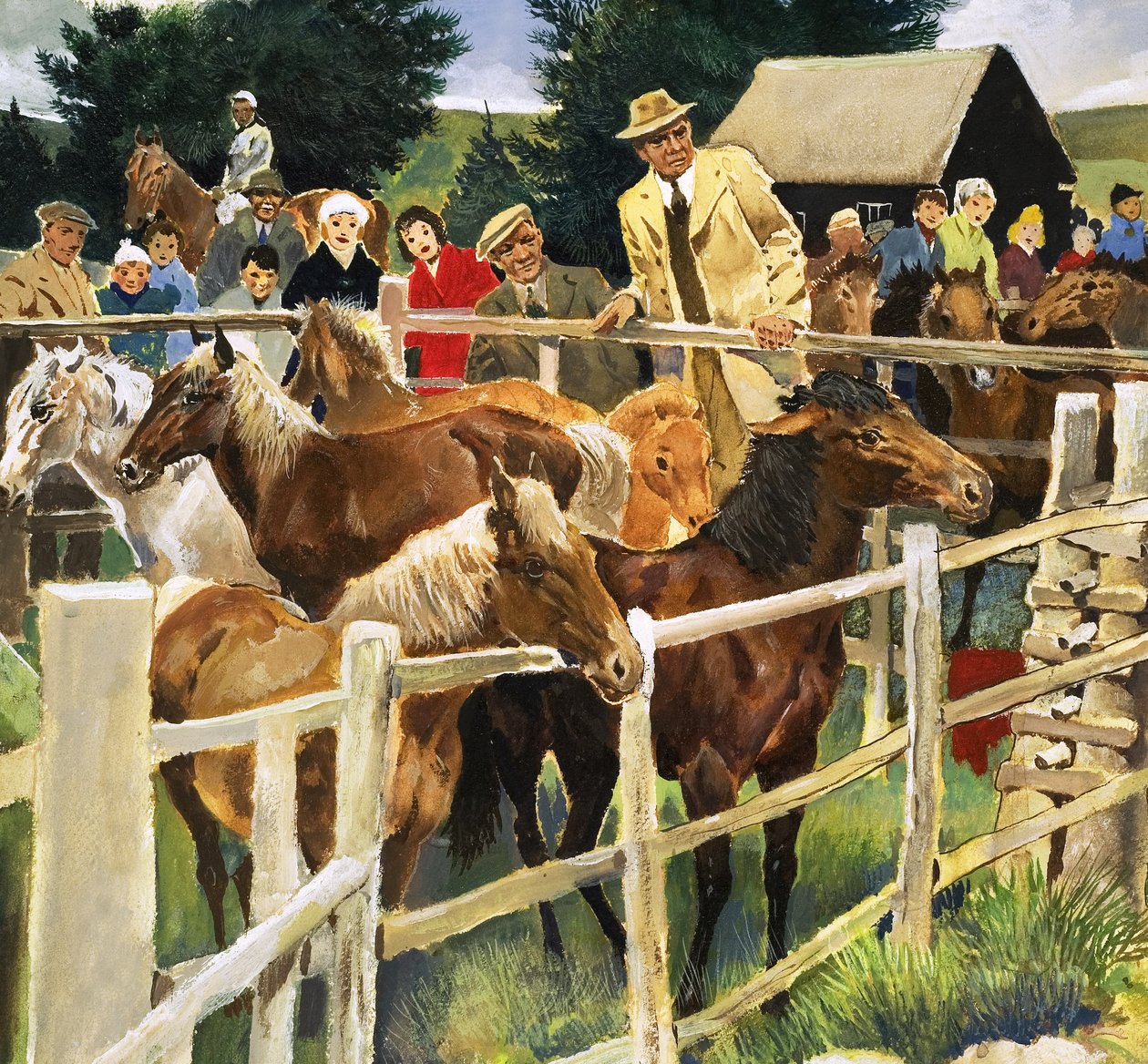 Pony della Nuova Foresta in vendita, illustrazione da "Meraviglie della Natura". da English School