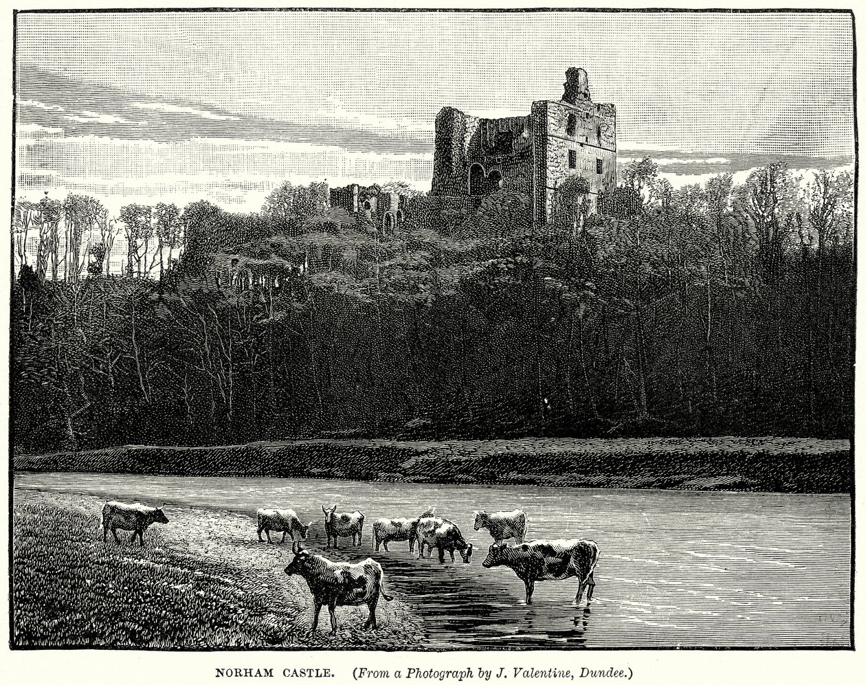 Castello di Norham (incisione) da English School