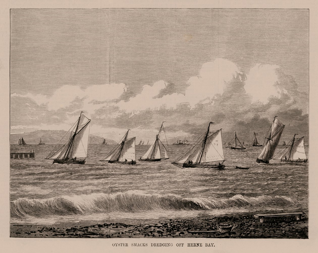 Dragaggio delle ostriche al largo di Herne Bay (incisione) da English School
