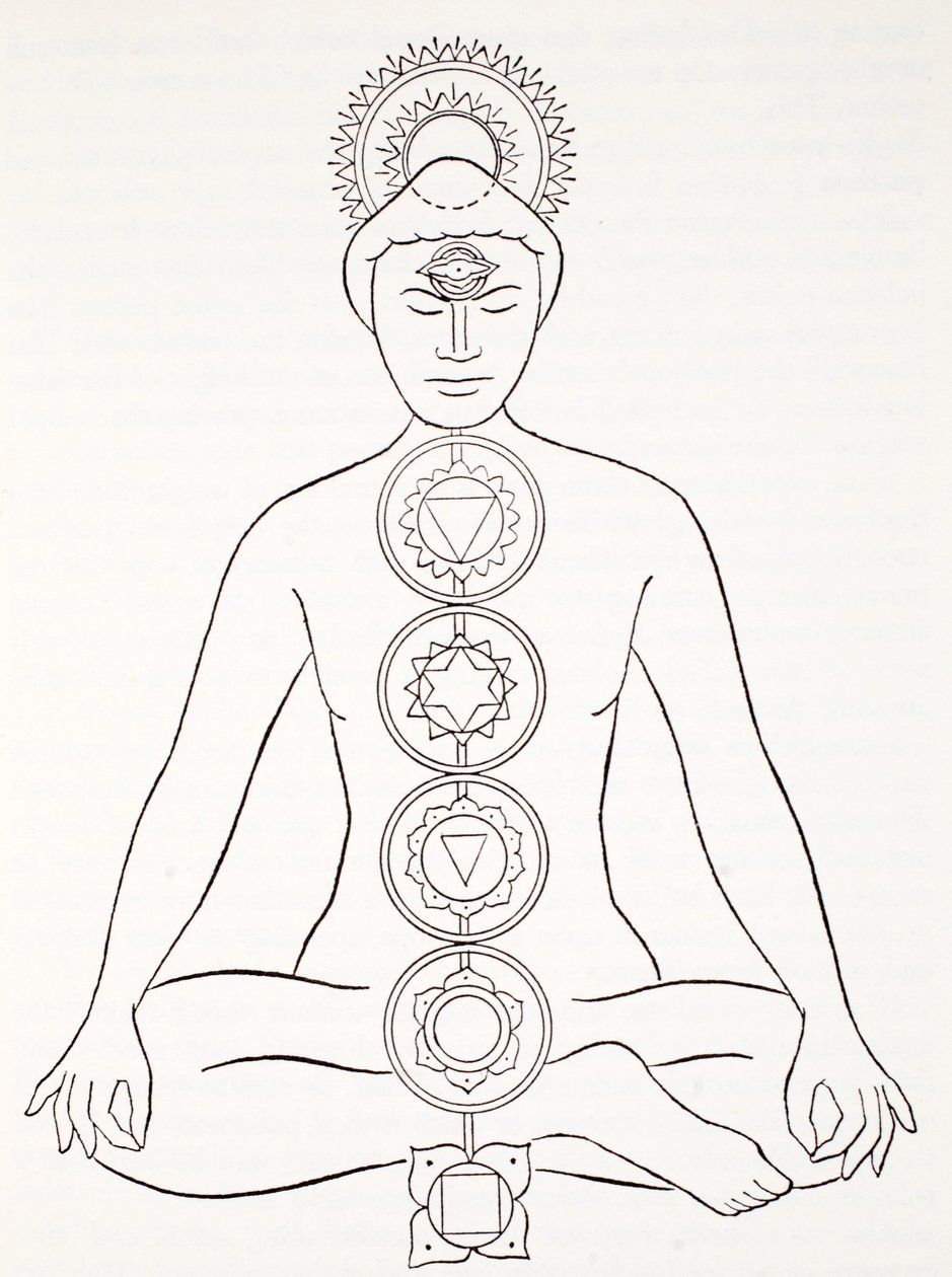 Padmasana o posizione del loto da English School