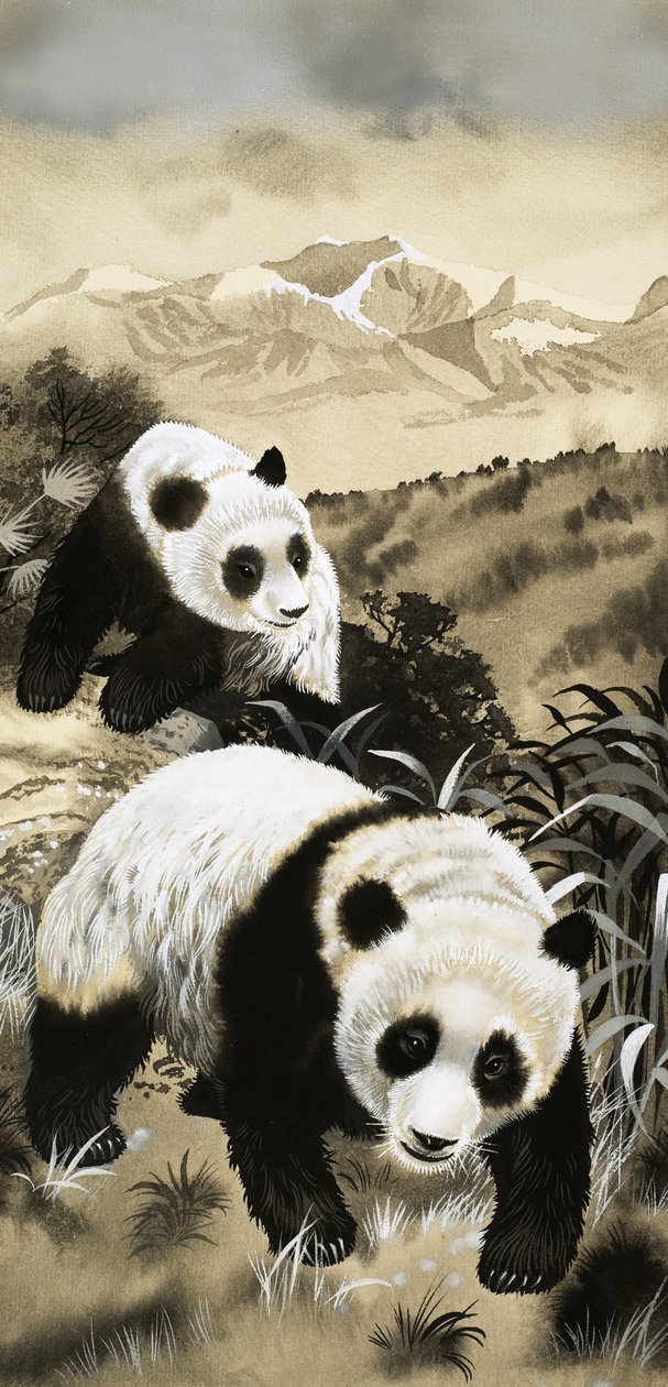 Panda da English School