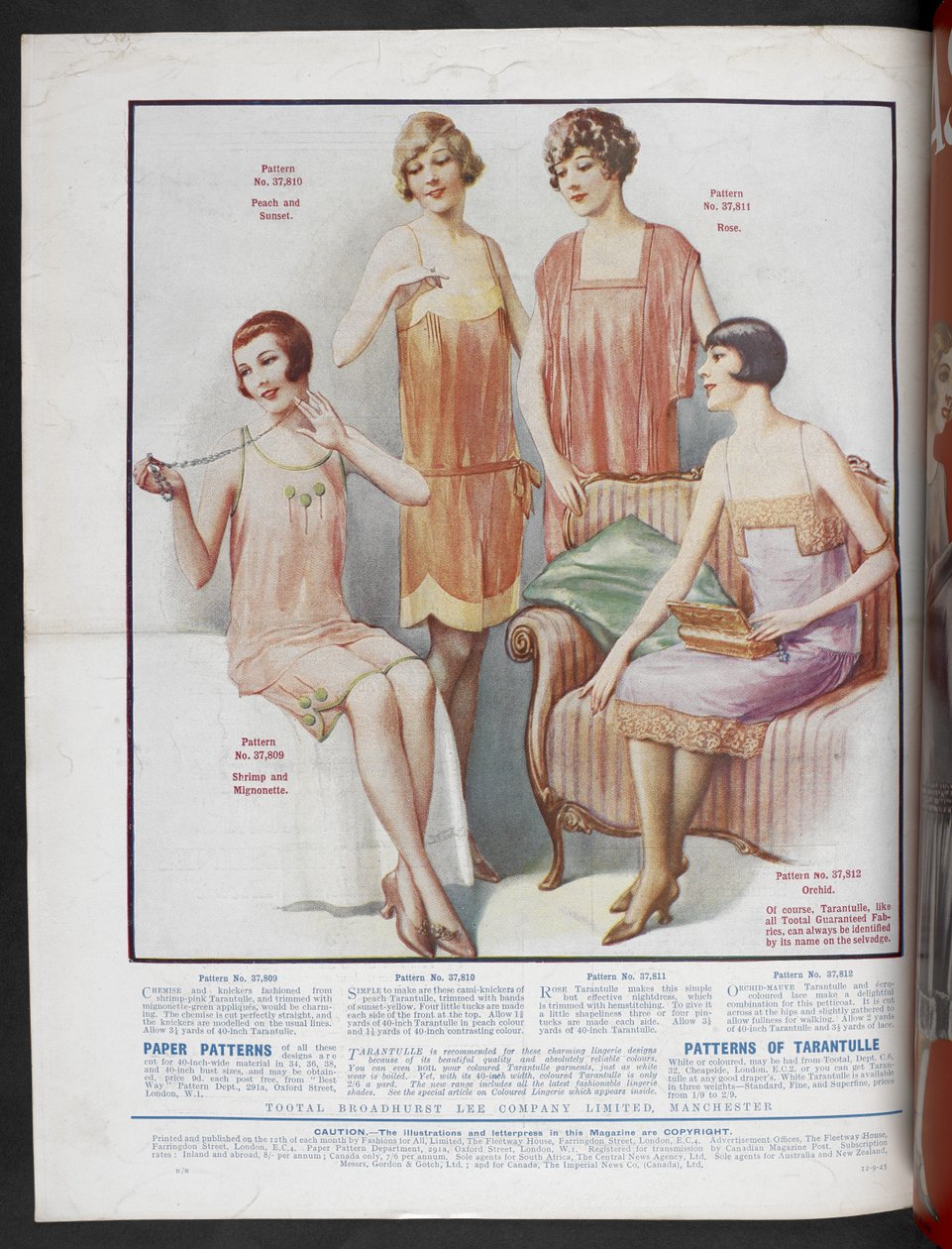 Modelli di carta per camicia, mutandine, cami-knickers e tarantola, Moda per tutti, ottobre da English School