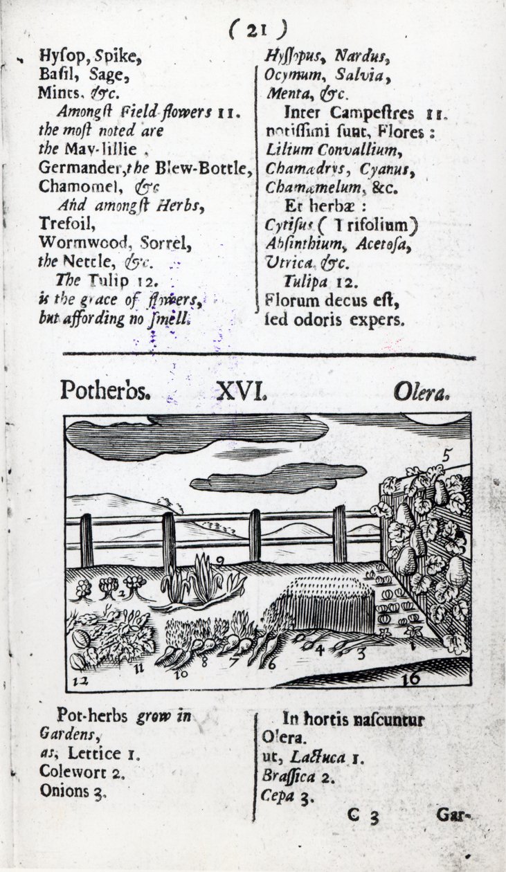 Agricoltura dal 