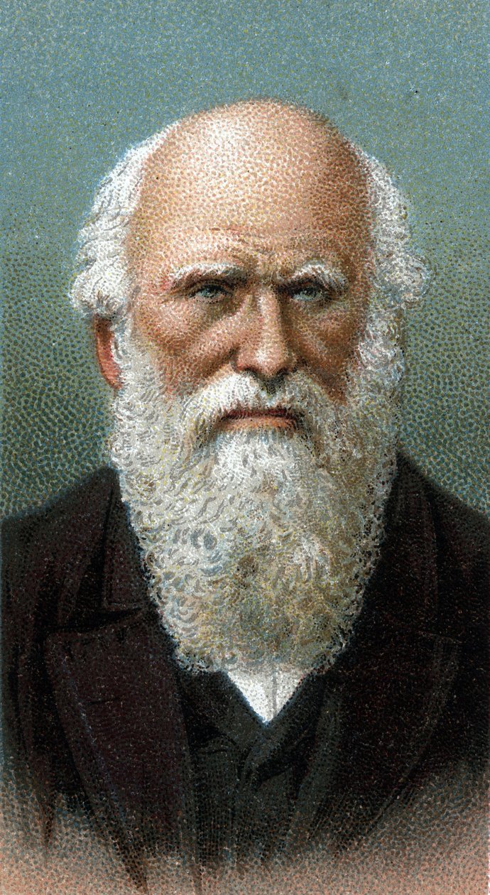 Ritratto di Charles Robert Darwin (1809-1882) - Dalla serie "Leaders of Men" da English School