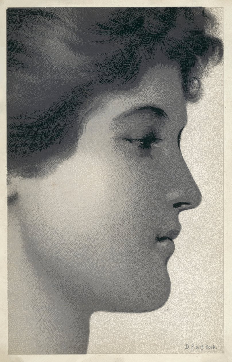 Ritratto di giovane donna (litografia) da English School