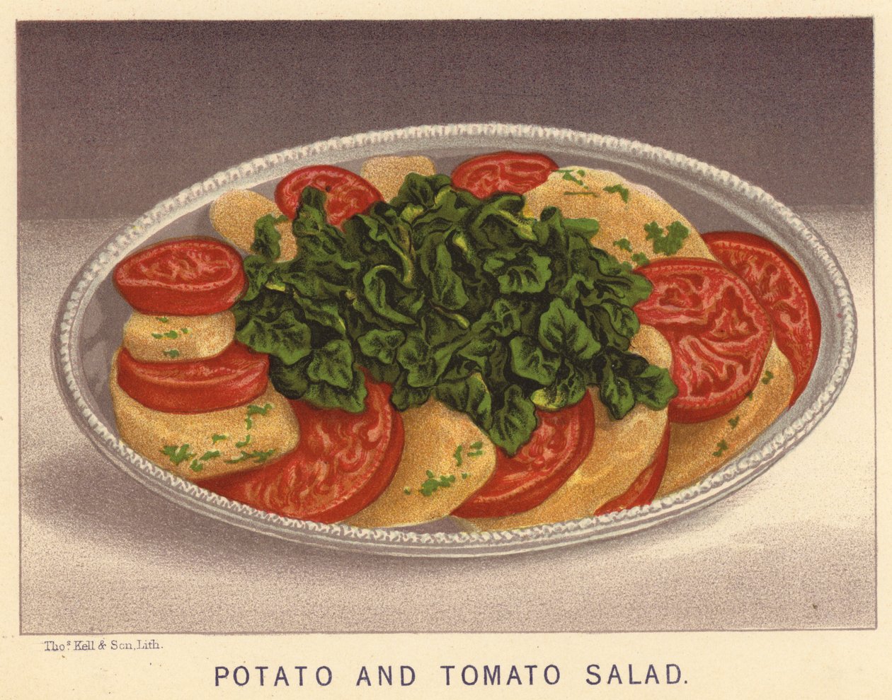Insalata di patate e pomodori (litografia a colori) da English School