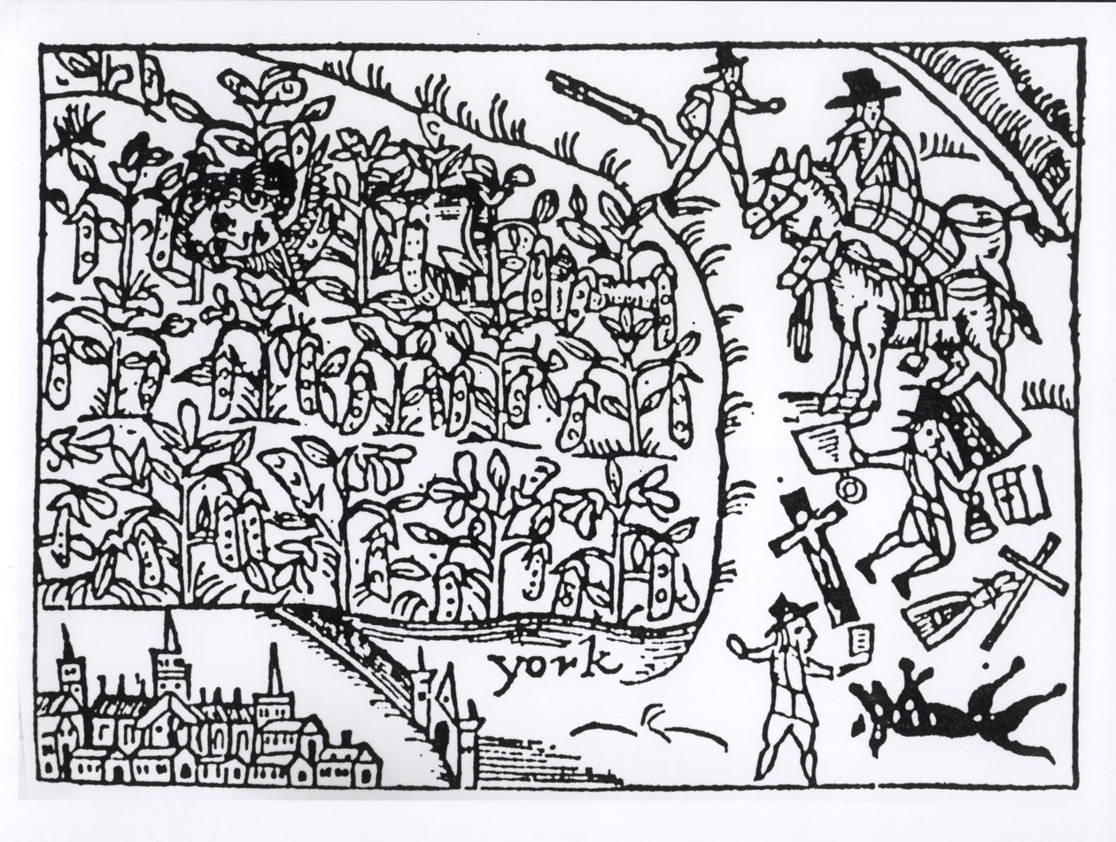Il principe Rupert nascosto in un campo di fagioli alla battaglia di Marston Moor il 2 luglio 1644 da English School