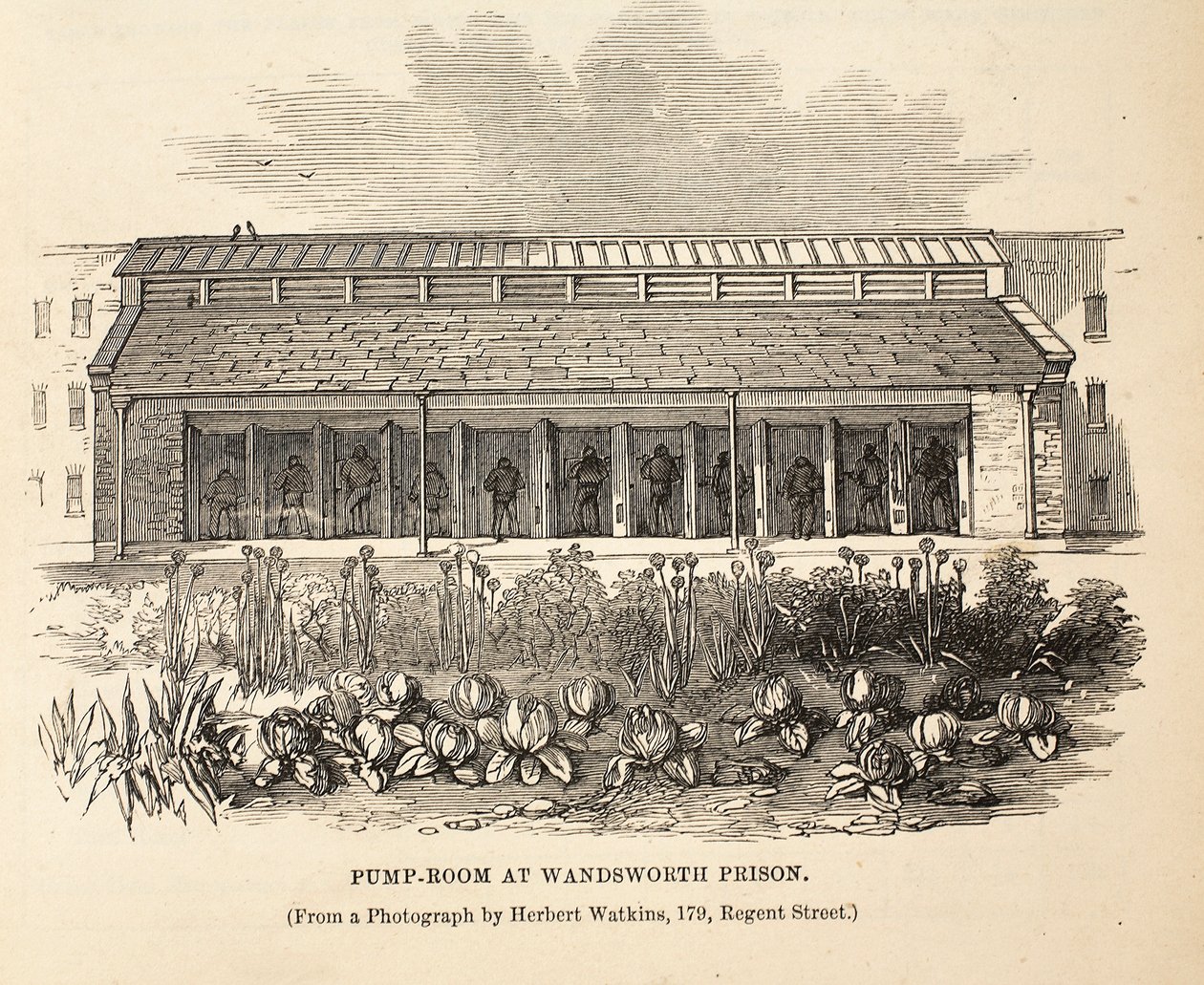 Sala delle pompe alla prigione di Wandsworth, illustrazione da Le Prigioni Criminali di Londra e Scene dalla Vita Carceraria di Henry Mayhew e John Binny, pub. 1862 da English School