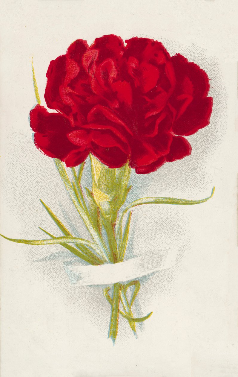 Garofano rosso (cromolito) da English School