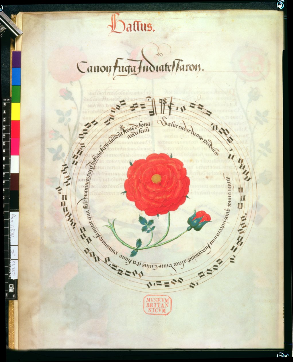Canone, con steli circolari e rosa al centro, dai Motetti di Richard Sampson da English School