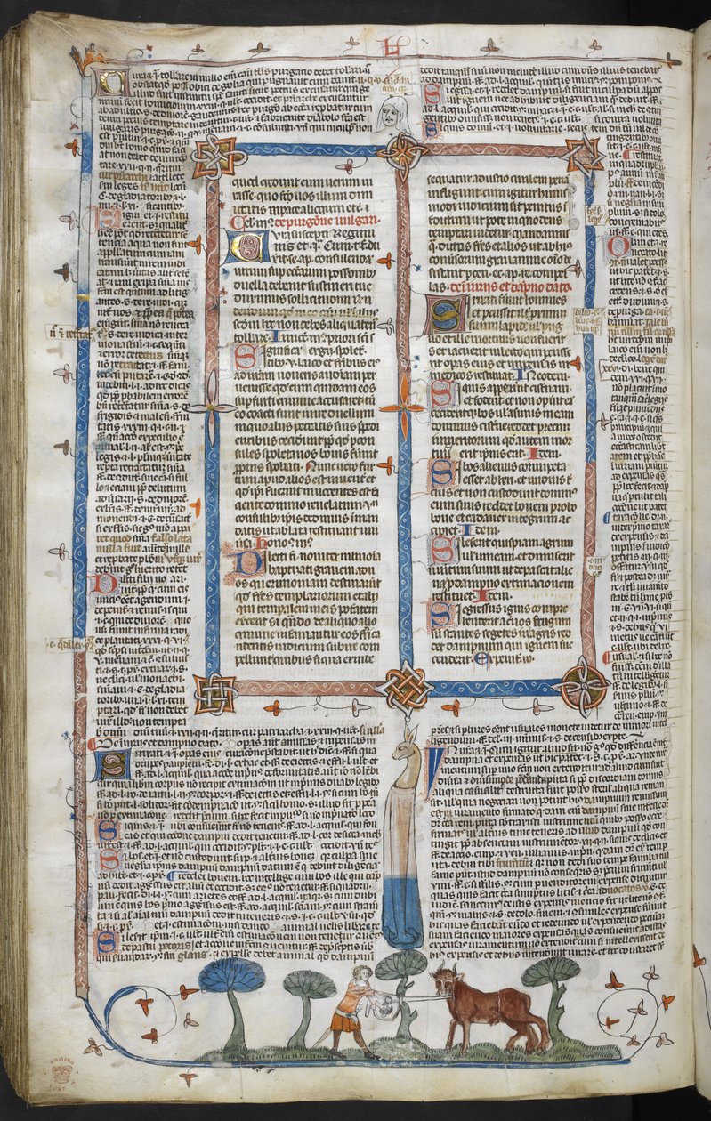 Uomo che attacca un bue, dai Decretali di Smithfield (Decretali di Gregorio IX) c.1340 da English School