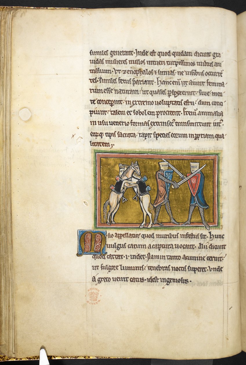 Due cavalieri che combattono a piedi con spade, mentre i loro cavalli combattono tra loro sulle zampe posteriori, da Bestiario, Lapidario, 2° quarto del XIII secolo (pergamena) da English School