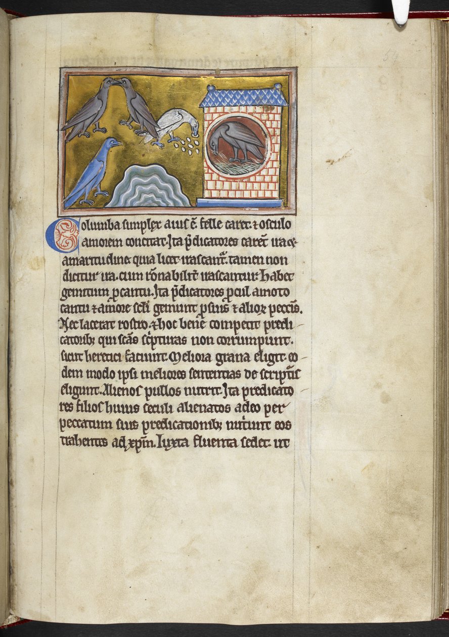 Colombe, dal 