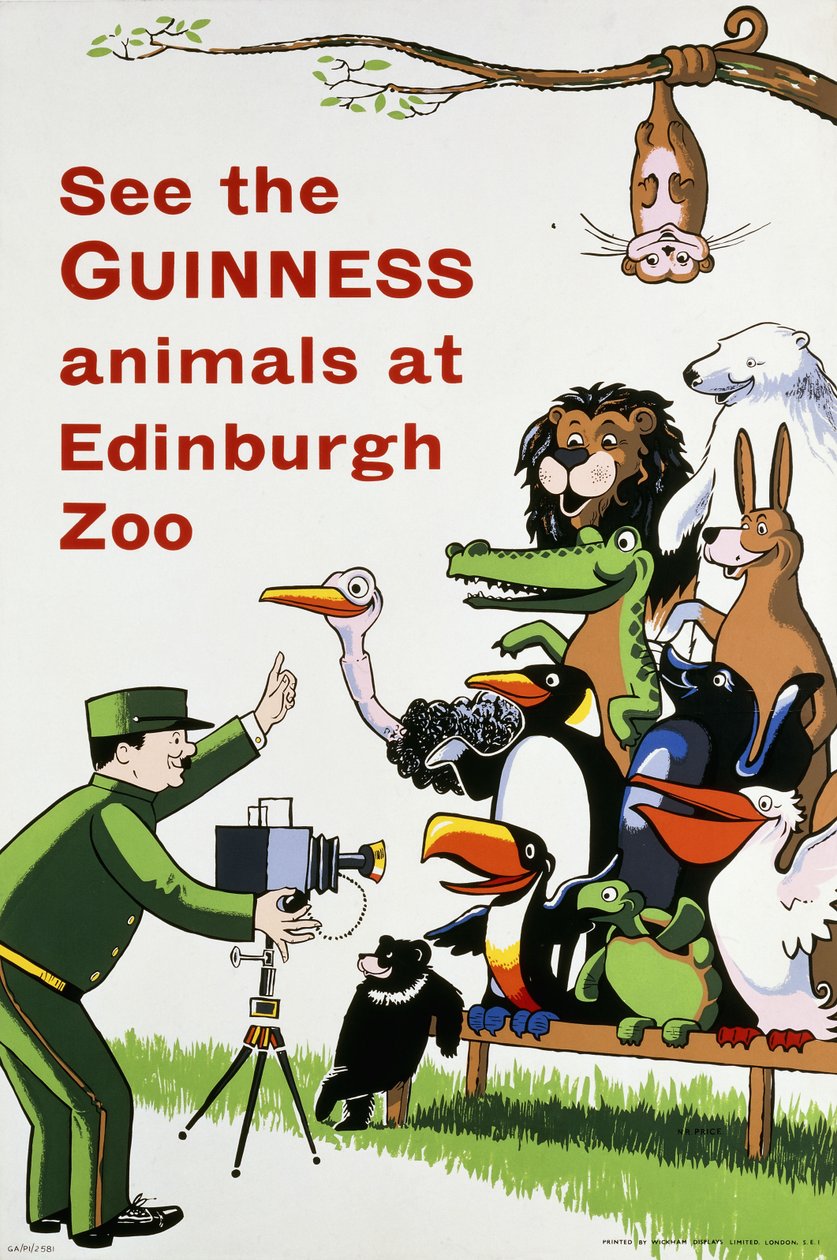 Vedi gli animali Guinness allo Zoo di Edimburgo, c.1938 da English School