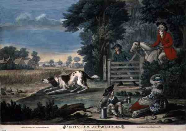 Cane da Ferma e Pernici, pub. da Carington Bowles (fl.1744-93) da English School