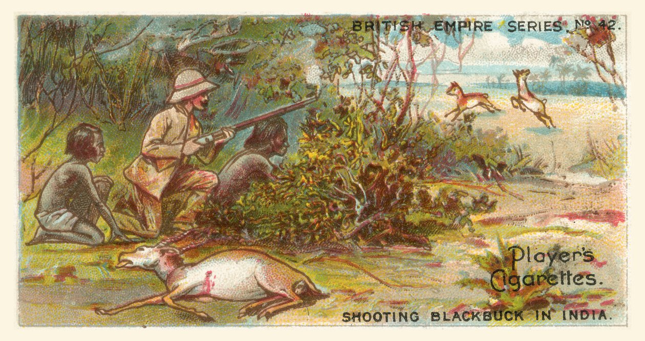 Riprese di Blackbuck in India (chromolitho) da English School