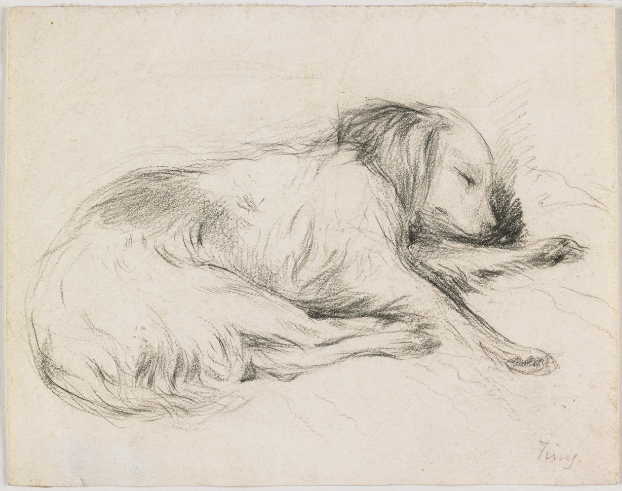 Cane che dorme, c.1840 da English School