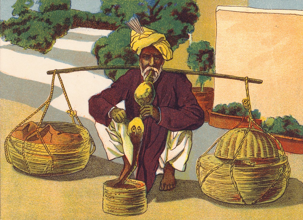 Incantatore di serpenti, India (litografia a colori) da English School
