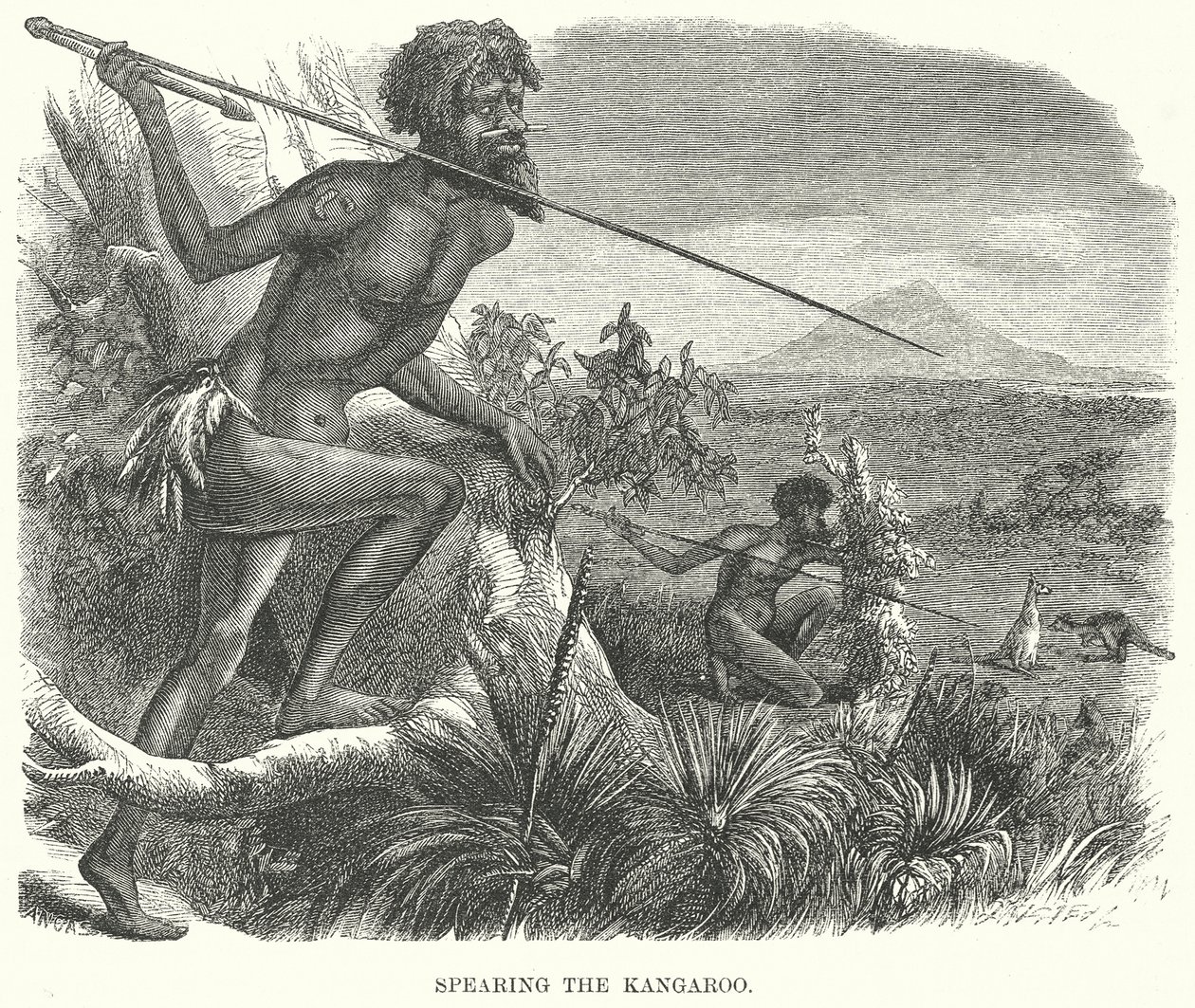Lancio del canguro (incisione) da English School