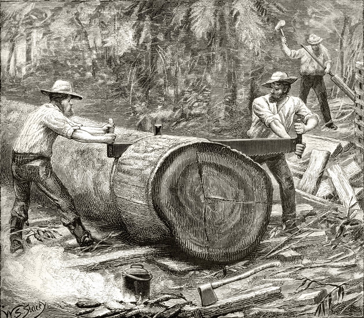 Spaccalegna nel Bush, c.1880, da 