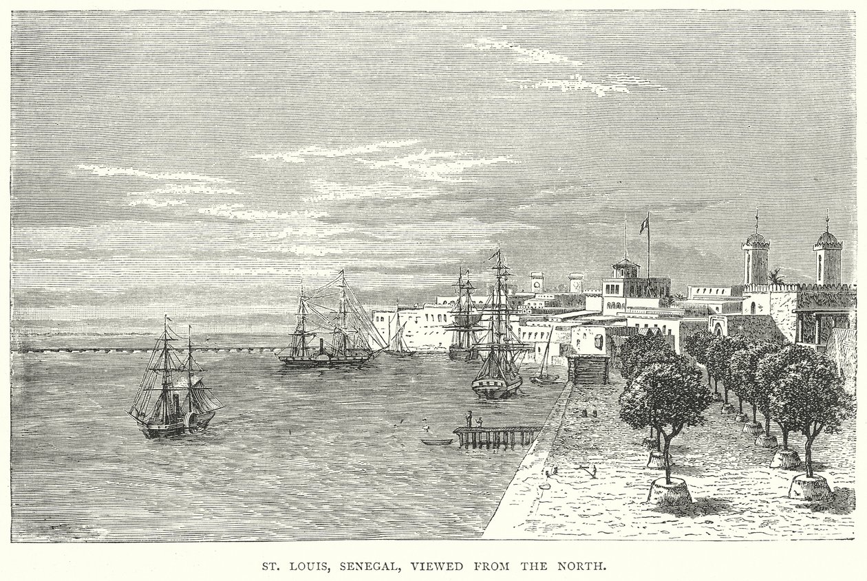 St Louis, Senegal, vista da nord (incisione) da English School