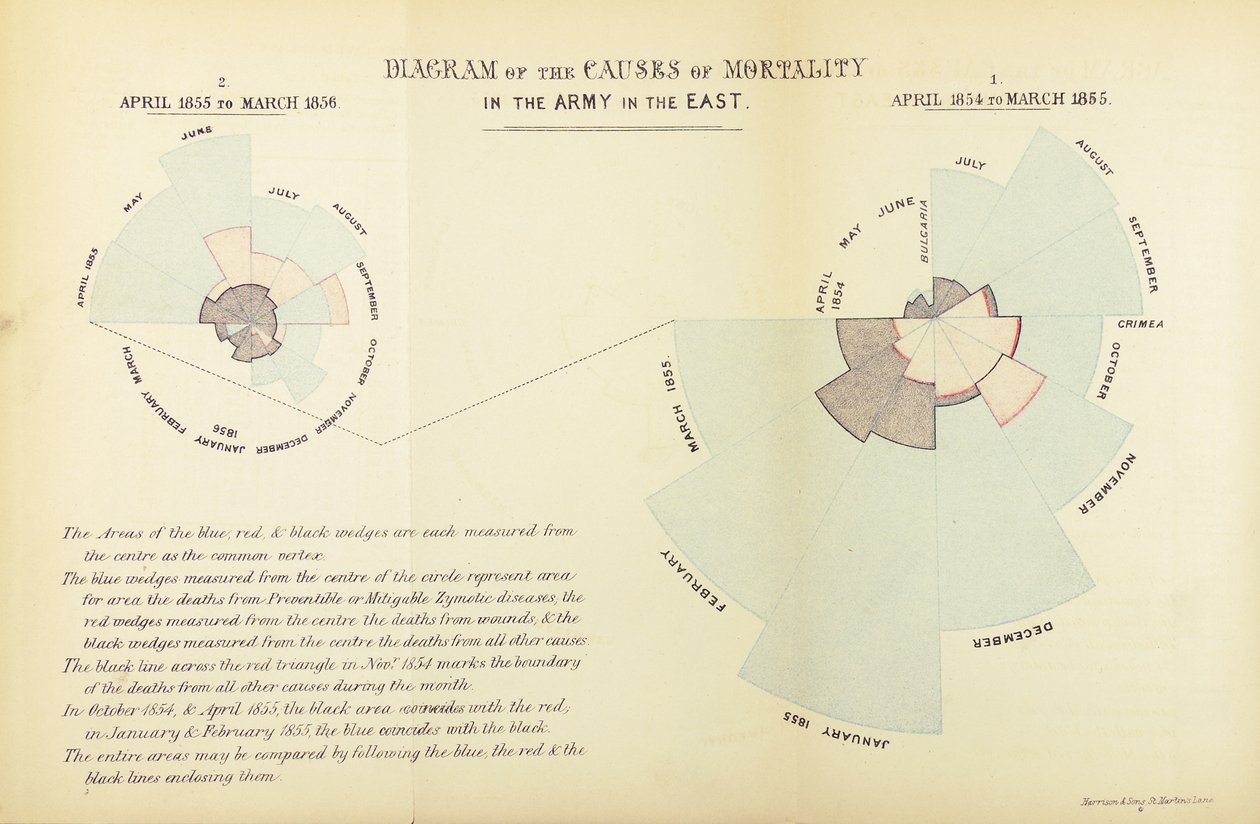 Grafico statistico inventato da Florence Nightingale per mostrare la predominanza delle malattie come causa di mortalità nell