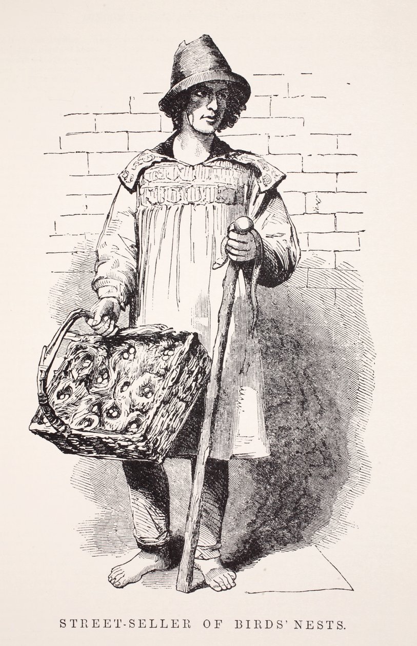 Venditore di nidi di uccelli per strada, illustrazione da London Labour and London Poor di Henry Mayhew, pub. 1862 da English School