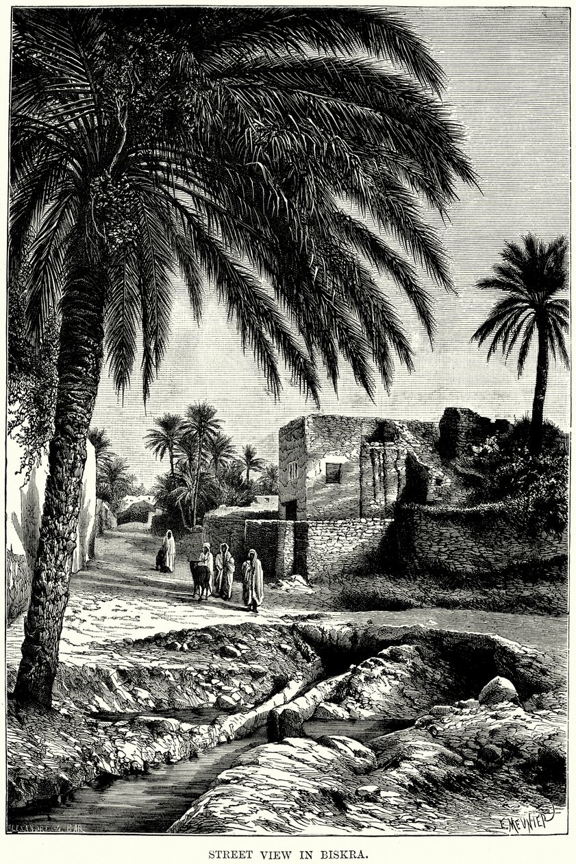 Street View a Biskra (incisione) da English School