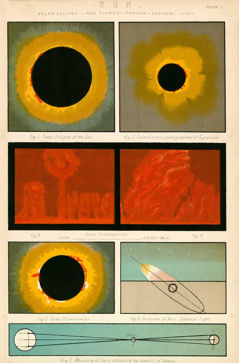 Sole (litografia a colori) da English School
