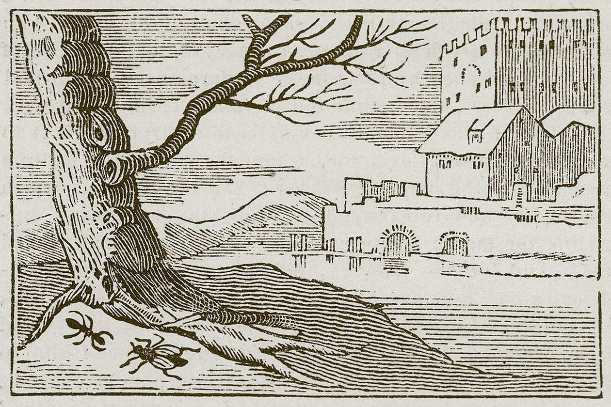 La formica e la mosca (incisione) da English School