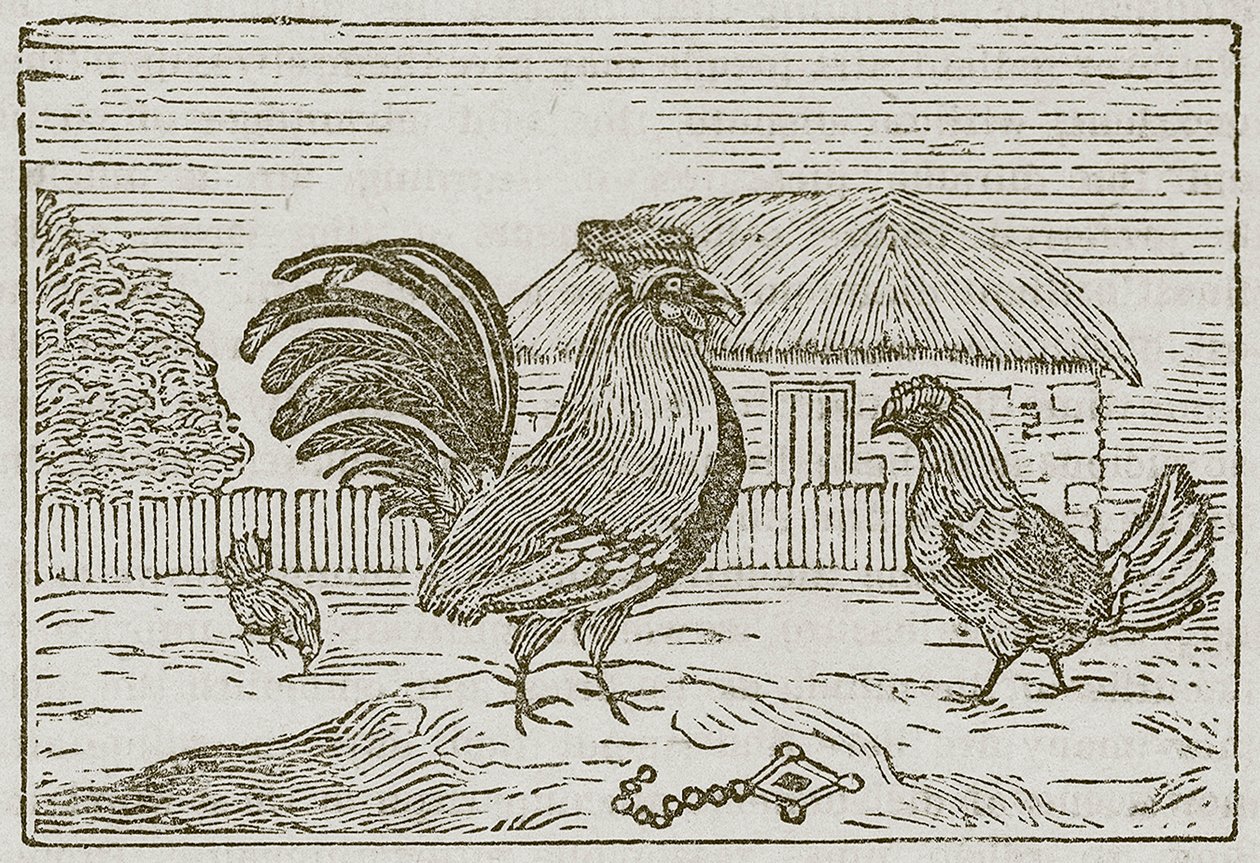 Il gallo e il gioiello (incisione) da English School