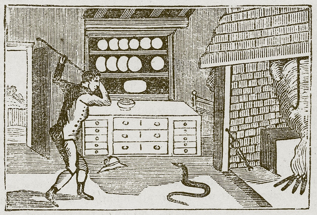 Il contadino e il serpente (incisione) da English School