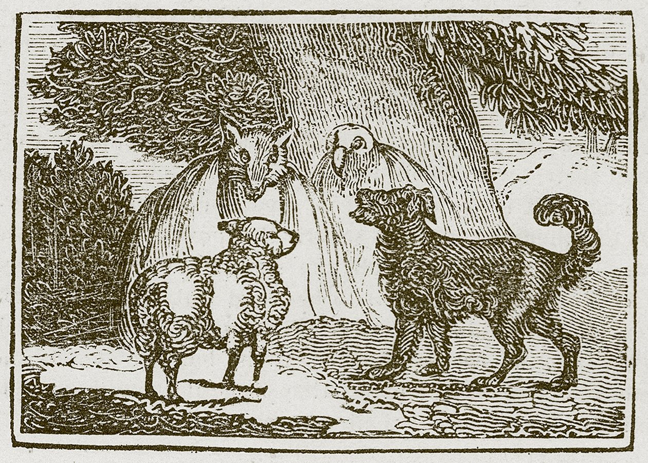 Il cane e la pecora (incisione) da English School