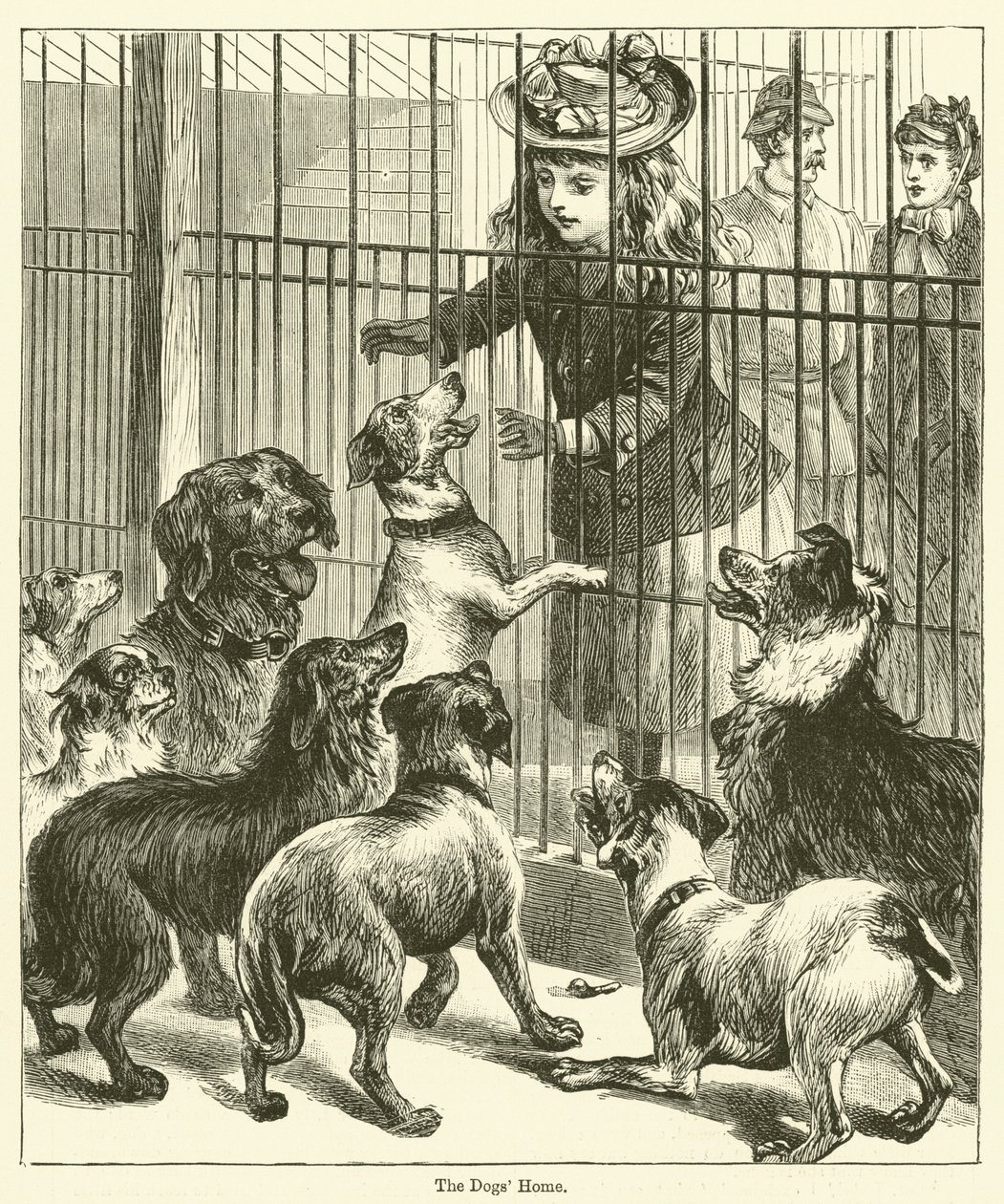 La casa dei cani (incisione) da English School