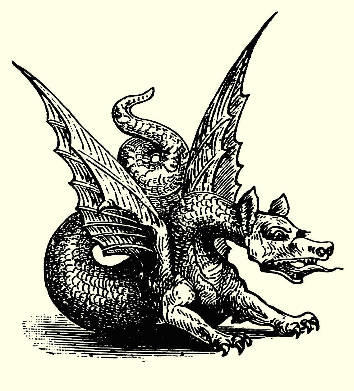 Il drago della favola (incisione) da English School