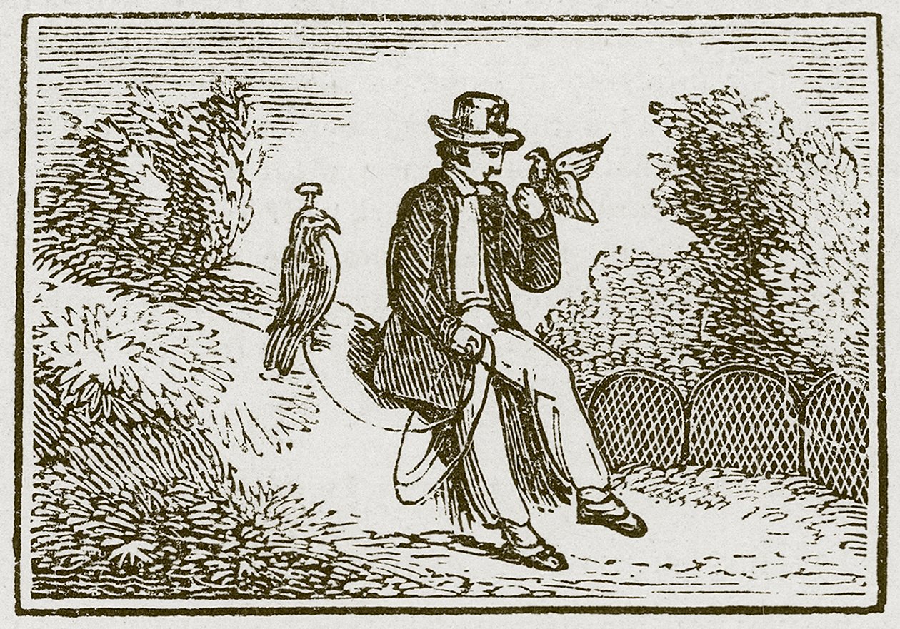 Il falconiere e la pernice (incisione) da English School