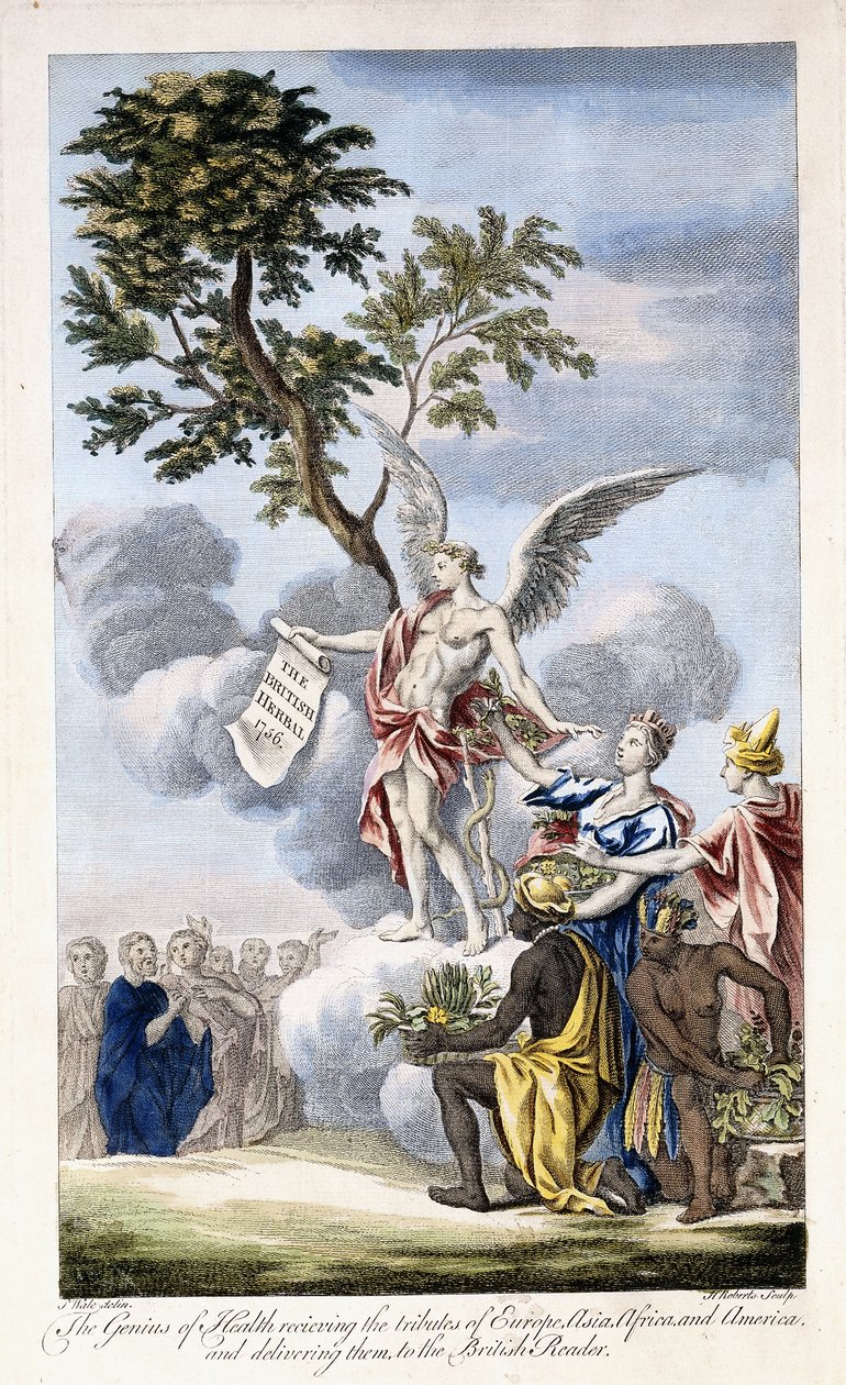 Il Genio della Salute che riceve Europa, Asia, Africa e America e le consegna al Lettore Britannico, 1756-1757 da English School
