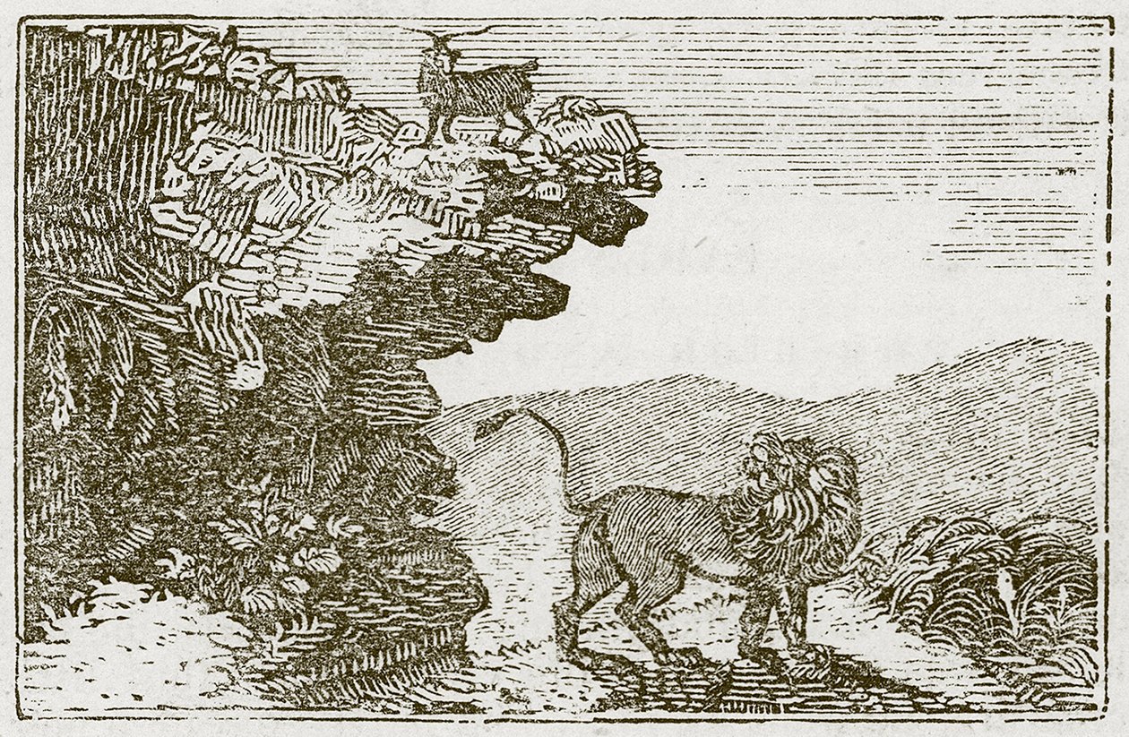 La capra e il leone (incisione) da English School