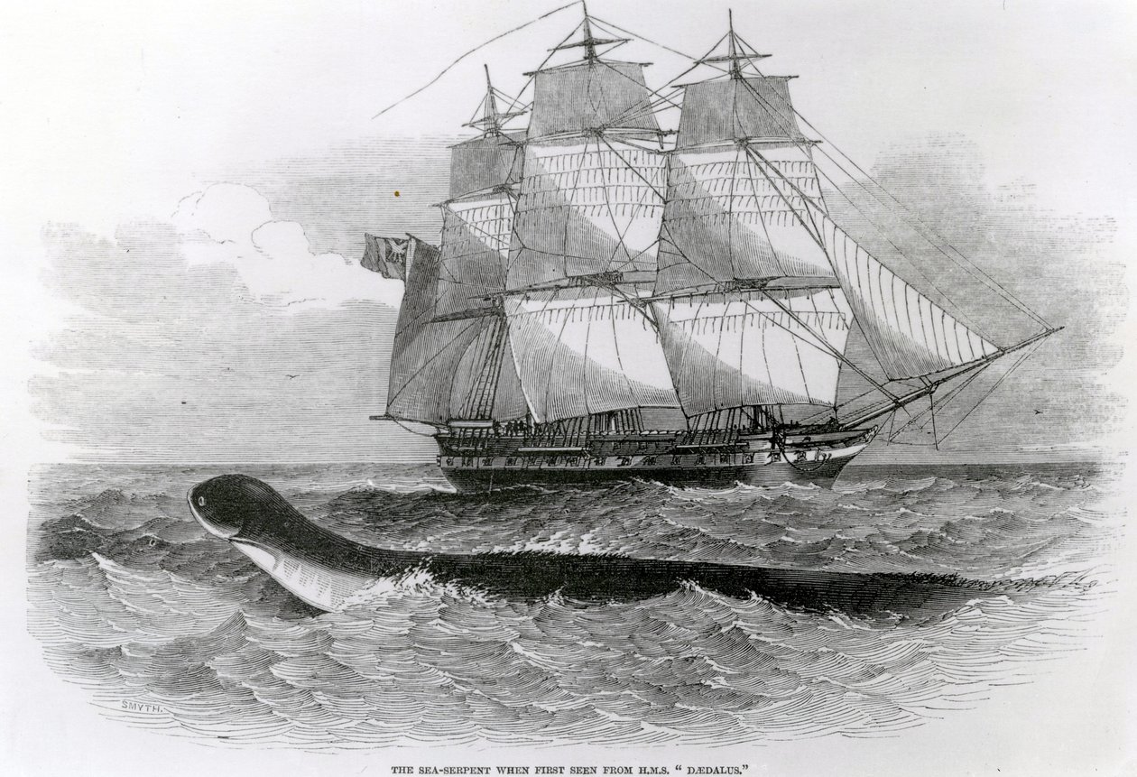 Il grande serpente marino visto per la prima volta dalla H.M.S. Daedalus da English School