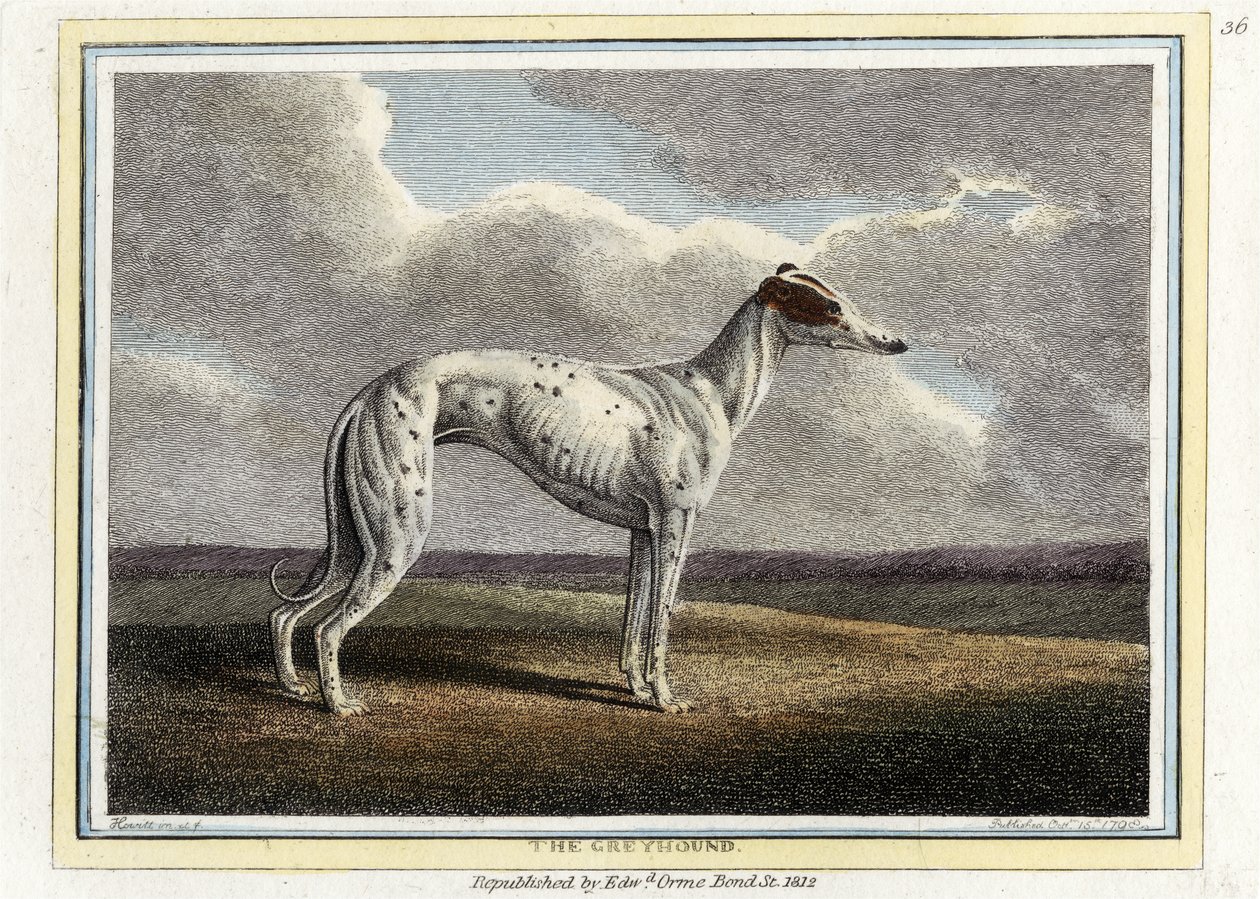 Il Levriero, pub. 1812 da English School