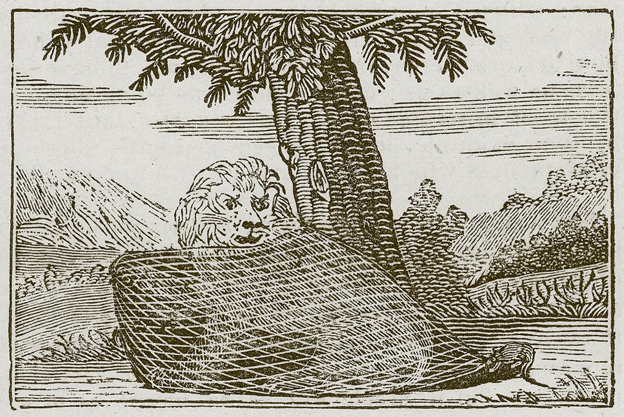 Il leone e il topo (incisione) da English School