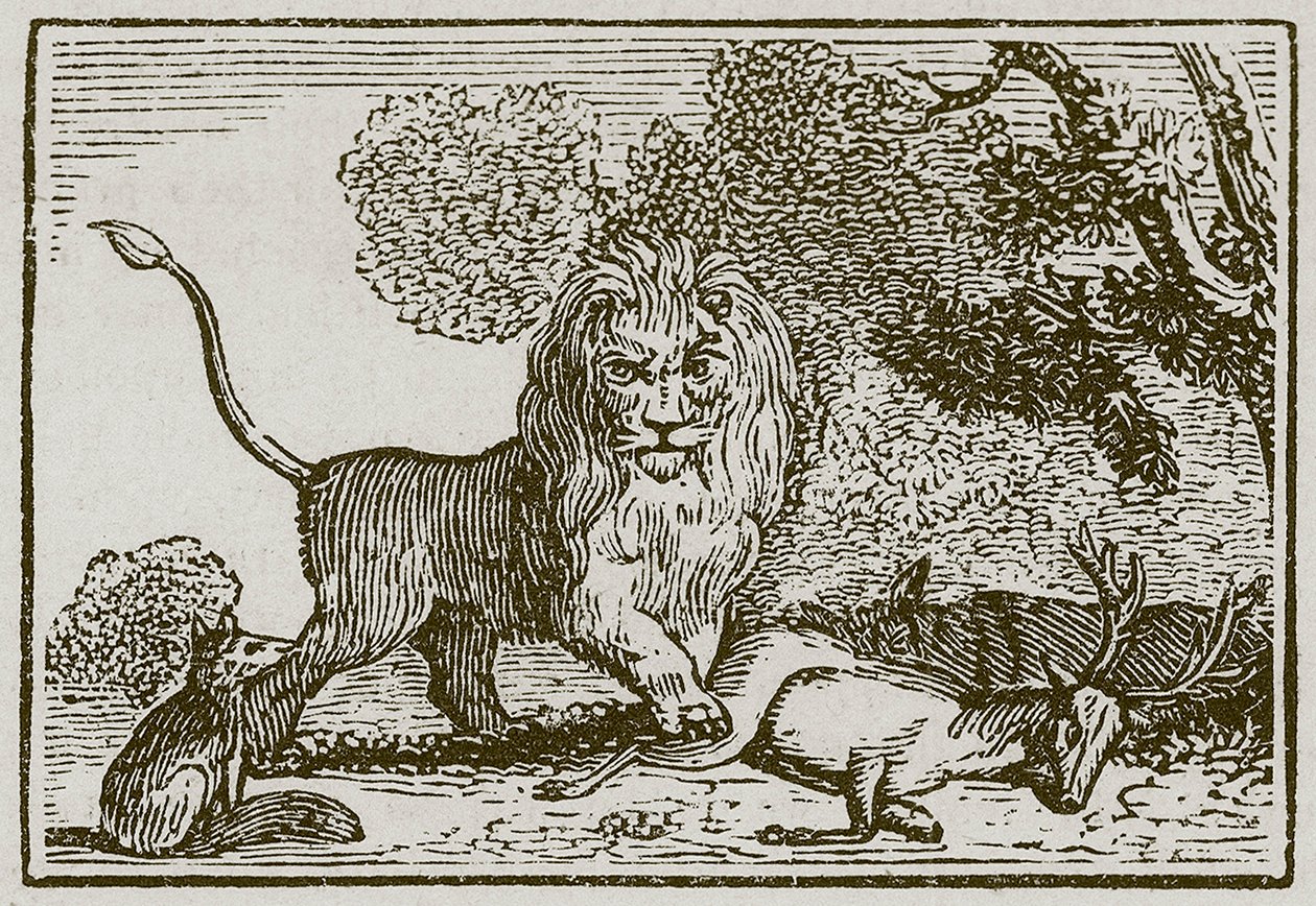 Il leone, l