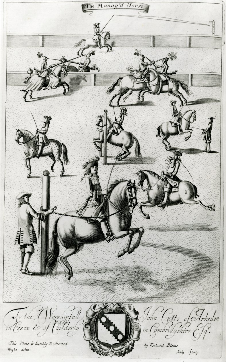 Il cavallo addestrato, da 