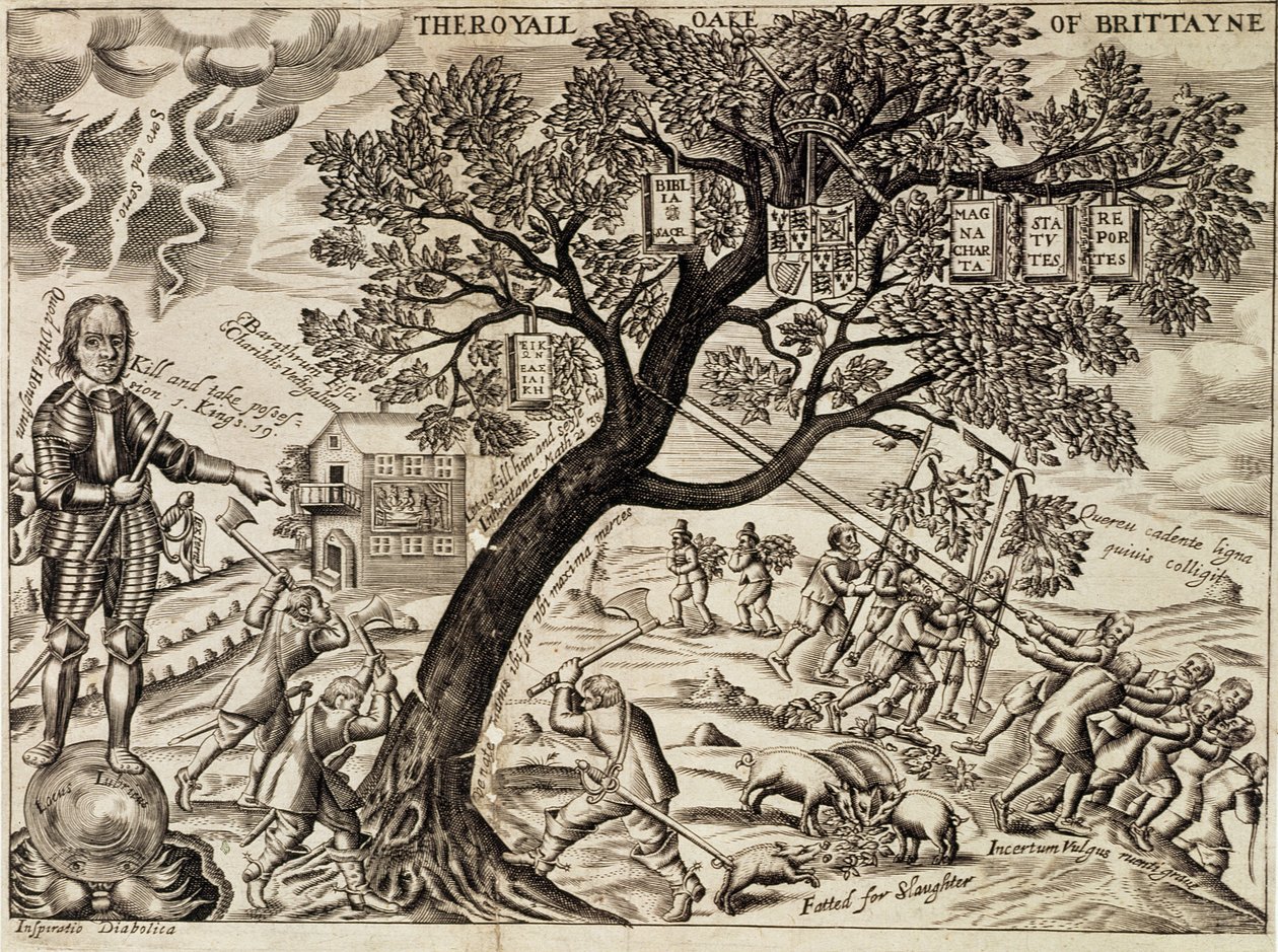 La Quercia Reale della Gran Bretagna, da 