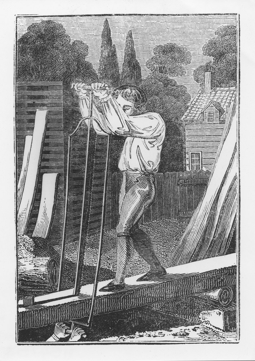Il Segantino, da The Young Tradesman o Book of English Trades, 1839 da English School