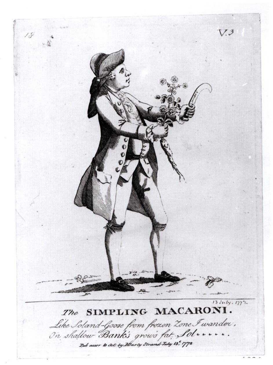 Il Maccherone Semplice, pub. da N. Darly, 13 luglio 1772 (incisione) da English School
