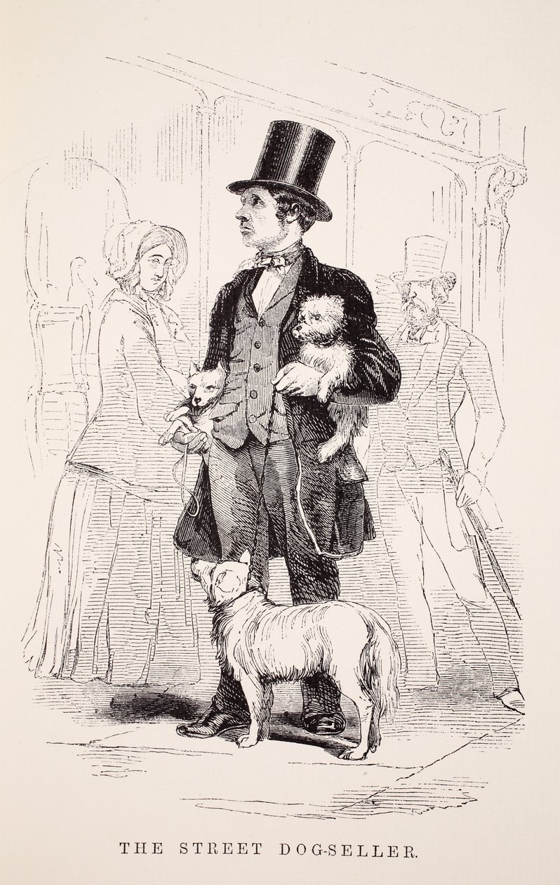 Il venditore di cani per strada, illustrazione da London Labour and London Poor di Henry Mayhew, pub. 1862 da English School