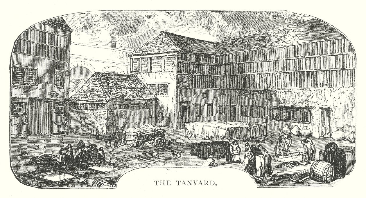 Il Tanyard (incisione) da English School