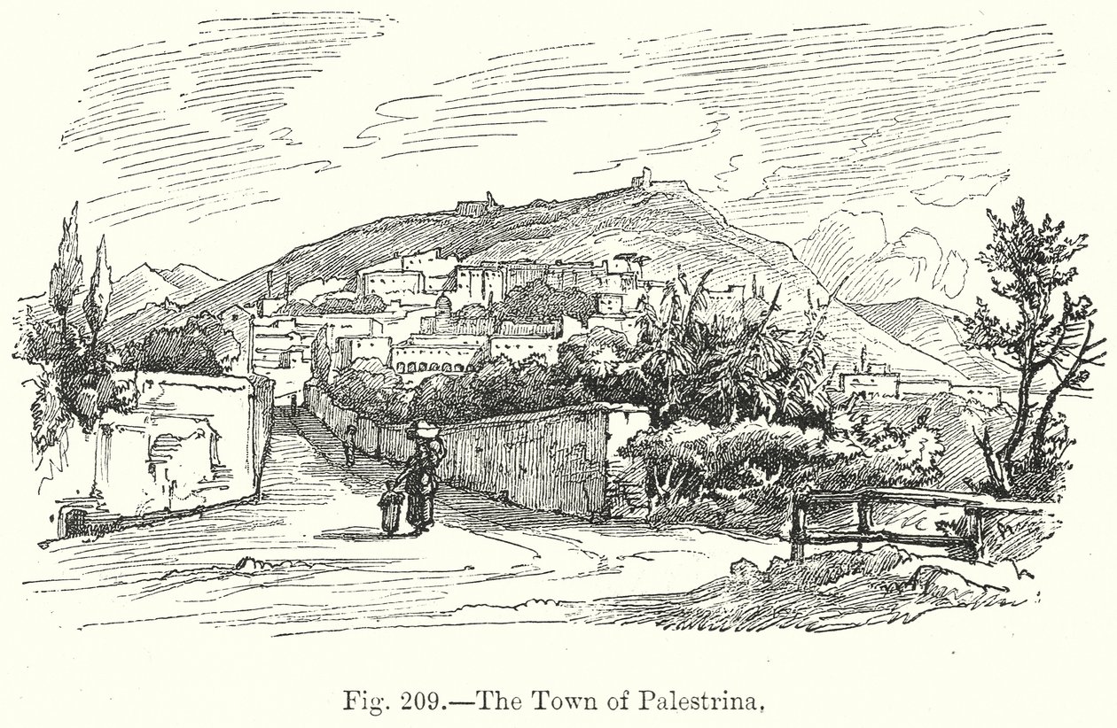 La città di Palestrina (incisione) da English School