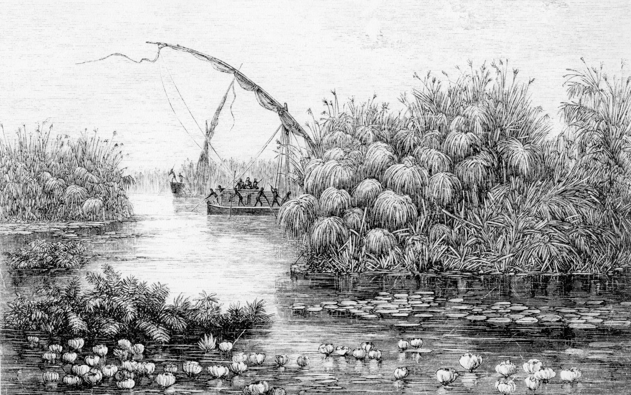 Le navi nella barriera d